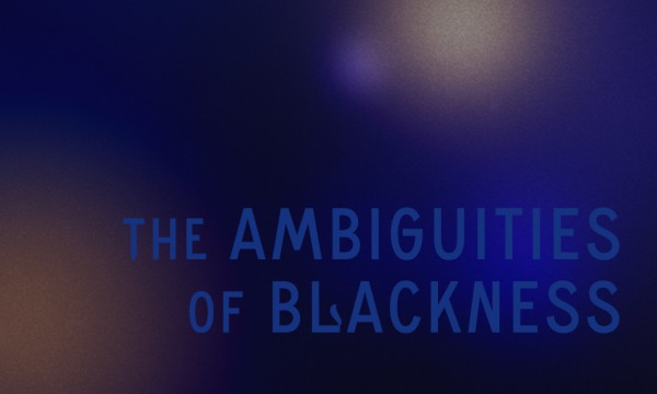 The Ambiguities of Blackness: Curated by Dr. Lizzetta LeFalle-Collins