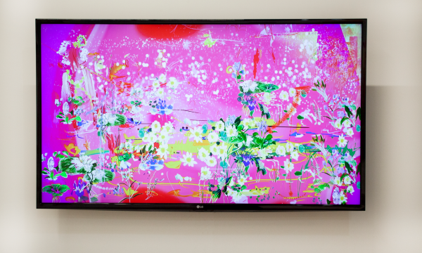 Petra Cortright: ZERO-DAY DARLING