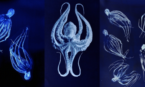 Zoe Farmer: MIMICRY AND IMMERSION